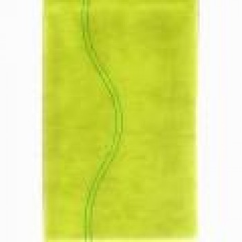 KJV Soft Touch Visual Reference Green